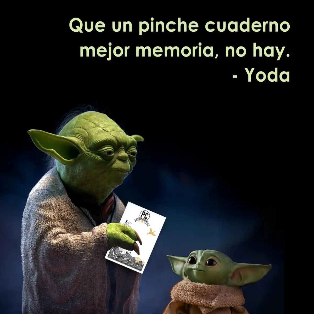 whatsapp image 2026 04 12 at 5.08.30 pm (1)