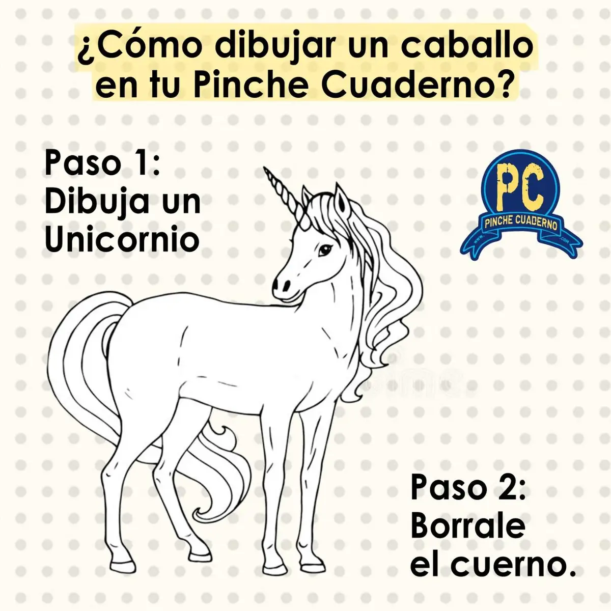 whatsapp image 2026 04 12 at 5.08.30 pm (6)